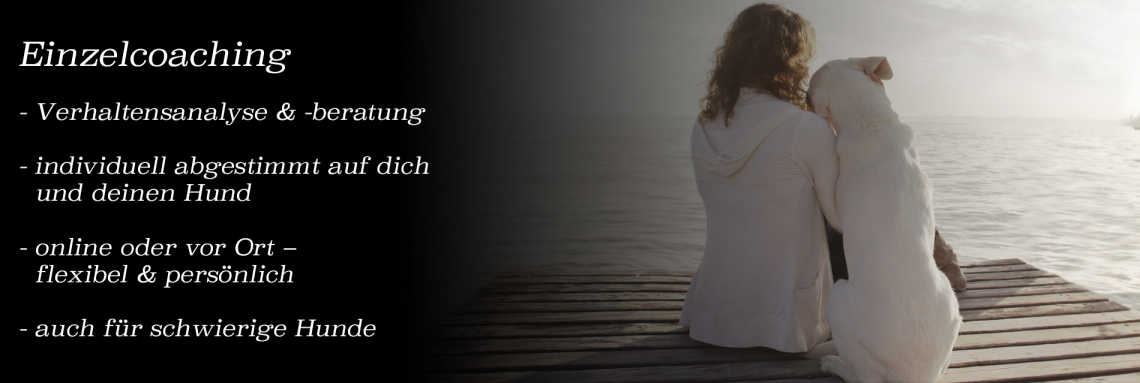 Einzelcoaching